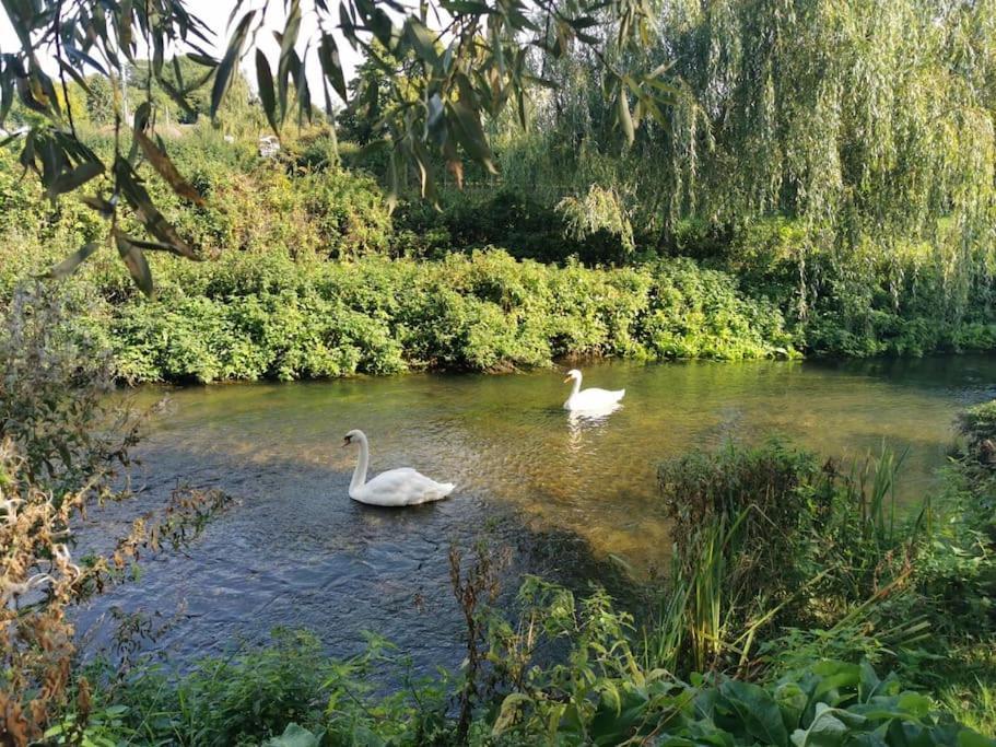 Lovely 2 Bed Annexe Near Salisbury Exteriör bild